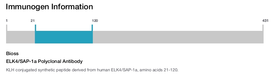 ELK4/SAP-1a Polyclonal Antibody