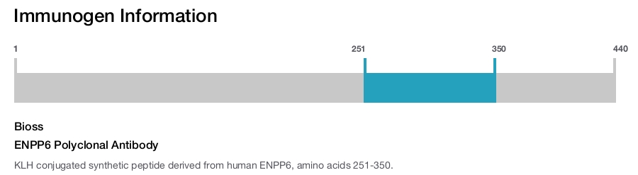 ENPP6 Polyclonal Antibody