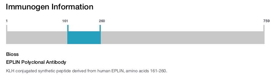 EPLIN Polyclonal Antibody