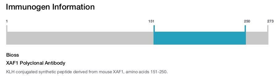XAF1 Polyclonal Antibody
