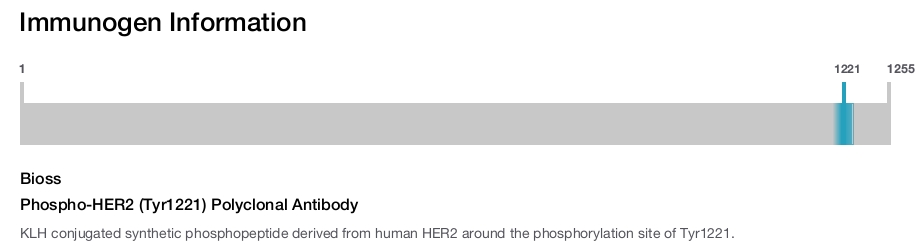 Phospho-HER2 (Tyr1221) Polyclonal Antibody