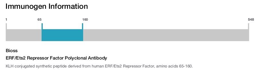 ERF/Ets2 Repressor Factor Polyclonal Antibody