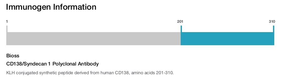 CD138/Syndecan 1 Polyclonal Antibody