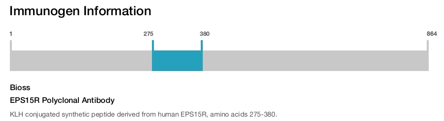 EPS15R Polyclonal Antibody