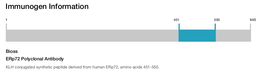 ERp72 Polyclonal Antibody