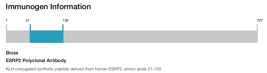 ESRP2 Polyclonal Antibody