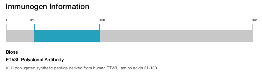 ETV3L Polyclonal Antibody