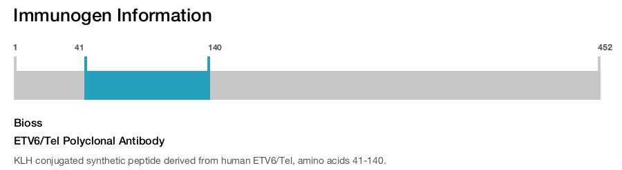 ETV6/Tel Polyclonal Antibody