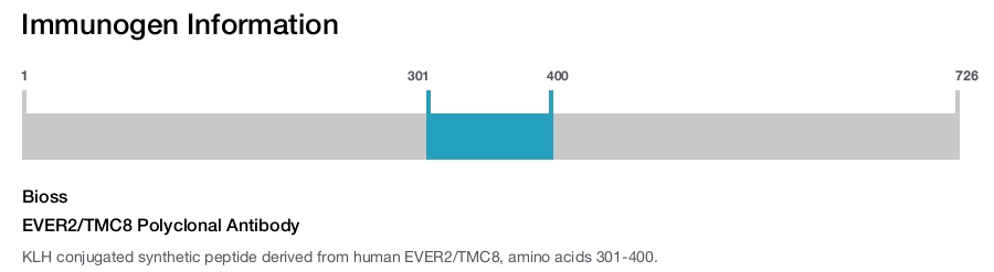EVER2/TMC8 Polyclonal Antibody
