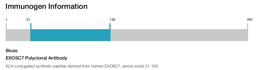 EXOSC7 Polyclonal Antibody