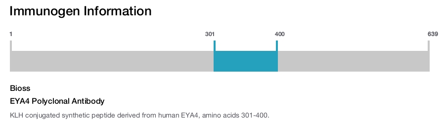 EYA4 Polyclonal Antibody