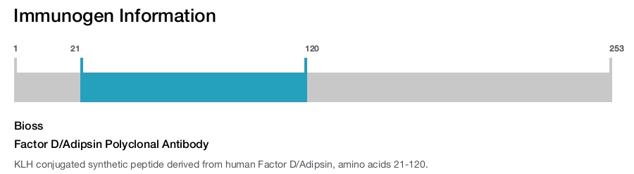 Factor D/Adipsin Polyclonal Antibody