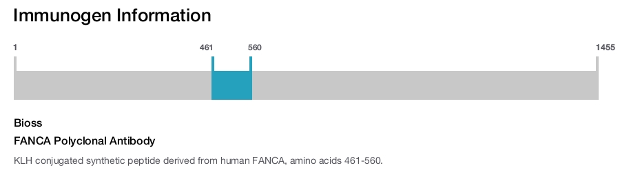 FANCA Polyclonal Antibody