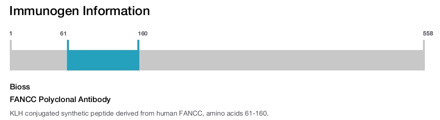 FANCC Polyclonal Antibody