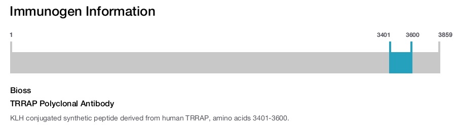TRRAP Polyclonal Antibody