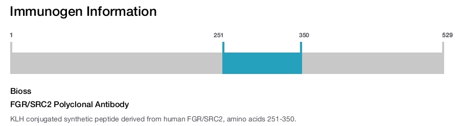 FGR/SRC2 Polyclonal Antibody