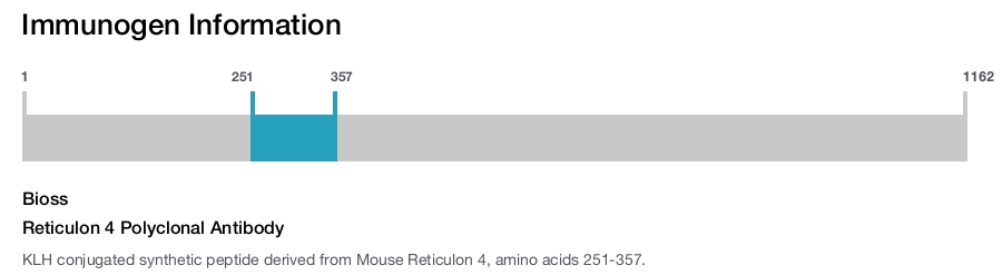Reticulon 4 Polyclonal Antibody