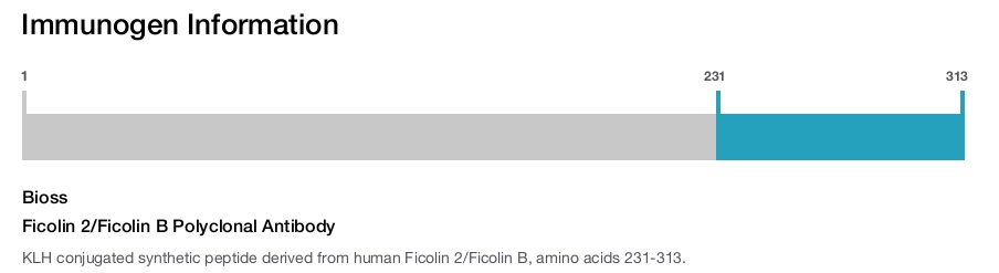 Ficolin 2/Ficolin B Polyclonal Antibody