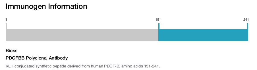 PDGFBB Polyclonal Antibody