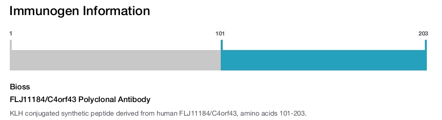 FLJ11184/C4orf43 Polyclonal Antibody