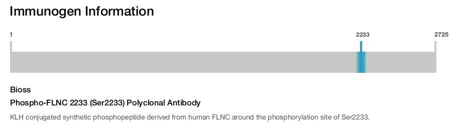 Phospho-FLNC 2233 (Ser2233) Polyclonal Antibody