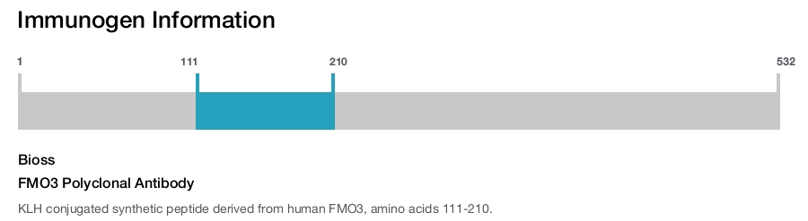 FMO3 Polyclonal Antibody