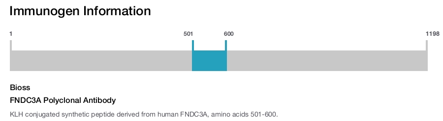 FNDC3A Polyclonal Antibody