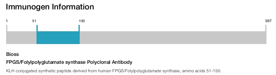 FPGS/Folylpolyglutamate synthase Polyclonal Antibody