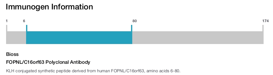 FOPNL/C16orf63 Polyclonal Antibody