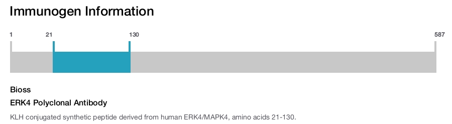 ERK4 Polyclonal Antibody