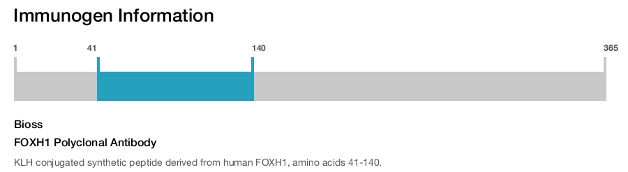 FOXH1 Polyclonal Antibody