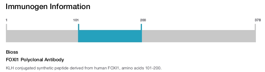 FOXI1 Polyclonal Antibody