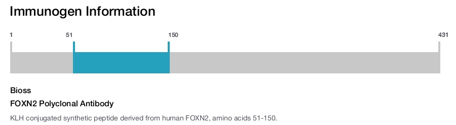 FOXN2 Polyclonal Antibody