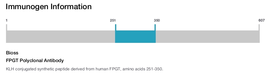 FPGT Polyclonal Antibody
