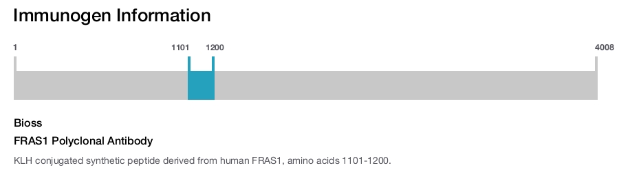 FRAS1 Polyclonal Antibody