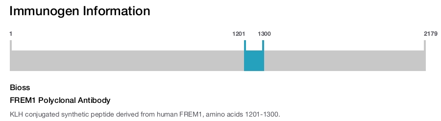 FREM1 Polyclonal Antibody