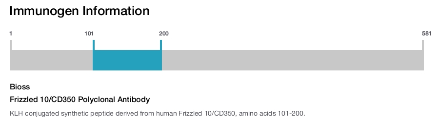 Frizzled 10/CD350 Polyclonal Antibody