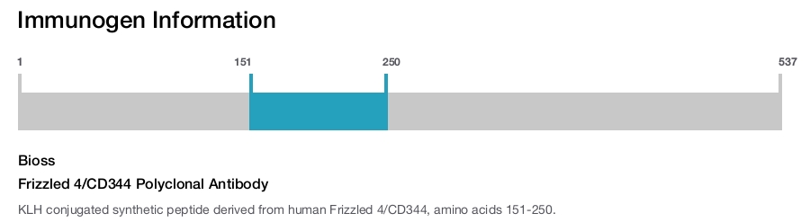 Frizzled 4/CD344 Polyclonal Antibody