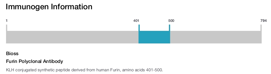 Furin Polyclonal Antibody