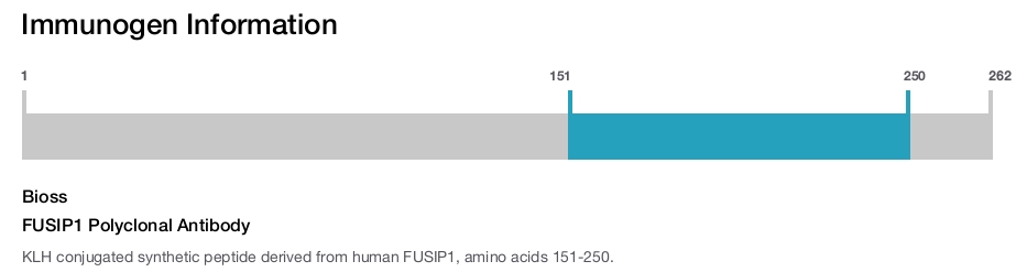 FUSIP1 Polyclonal Antibody