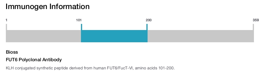 FUT6 Polyclonal Antibody