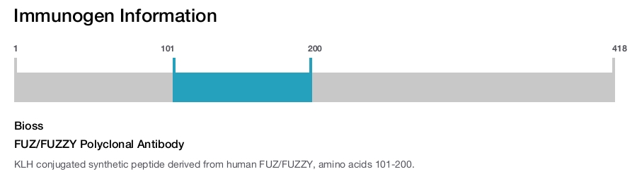 FUZ/FUZZY Polyclonal Antibody