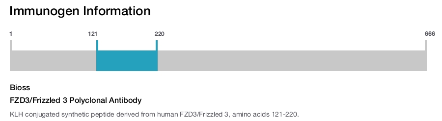 FZD3/Frizzled 3 Polyclonal Antibody