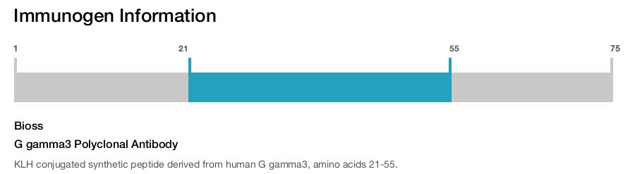 G gamma3 Polyclonal Antibody