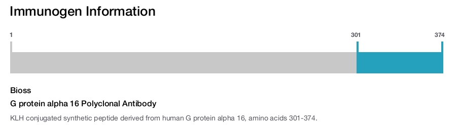 G protein alpha 16 Polyclonal Antibody