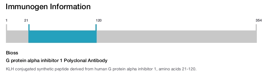 G protein alpha inhibitor 1 Polyclonal Antibody