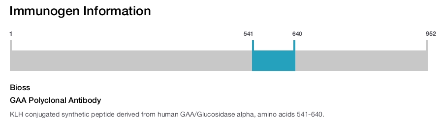 GAA Polyclonal Antibody