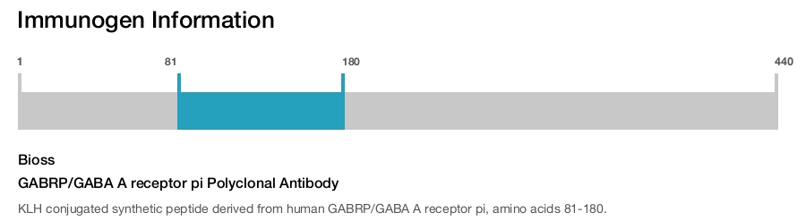 GABRP/GABA A receptor pi Polyclonal Antibody