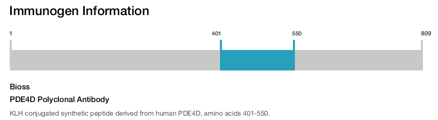 PDE4D Polyclonal Antibody
