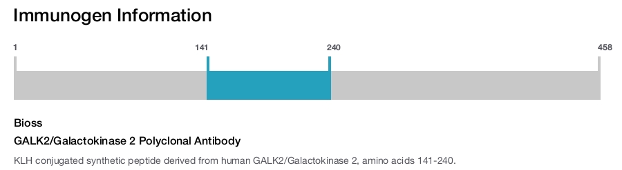GALK2/Galactokinase 2 Polyclonal Antibody